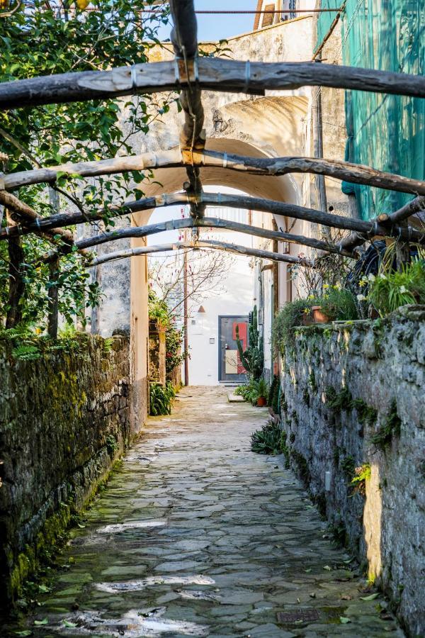 Mirasole House Villa Massa Lubrense Bagian luar foto